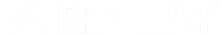 Home logo 4